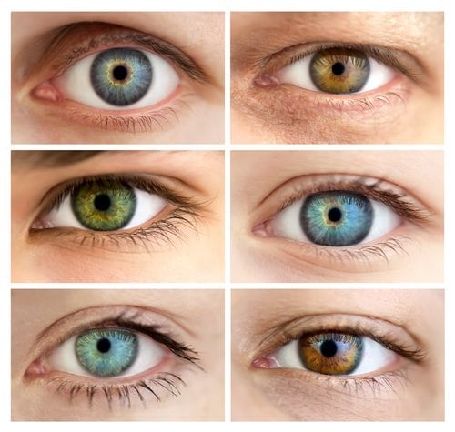 Hazel Eye Color Chart